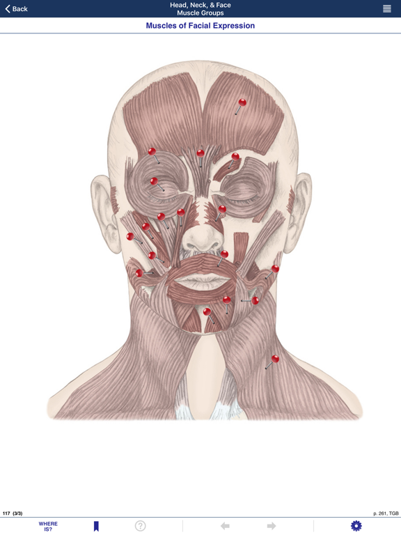 AnatomyMapp Liteのおすすめ画像4