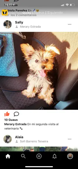 Game screenshot Canhijos mod apk