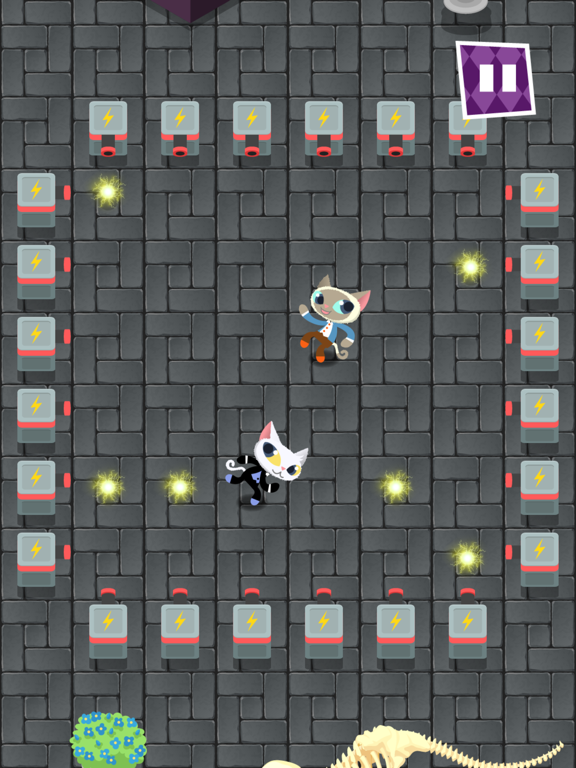 Phantom Cats iPad screenshot