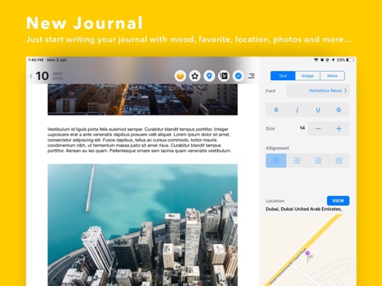Daily Journal - Pocket Edition iPad screenshot 5 - Lifestyle app