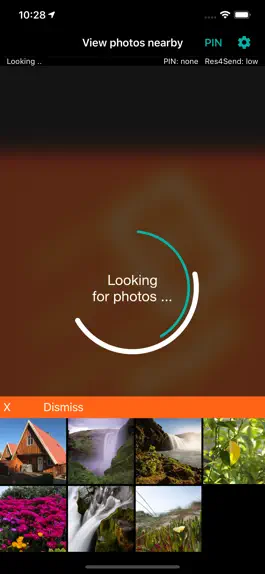Game screenshot Shyph - show your photos apk