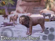 ultimate lion simulator 2 ipad capturas de pantalla 3