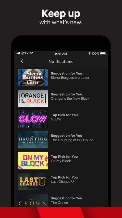 Netflix screenshot-4