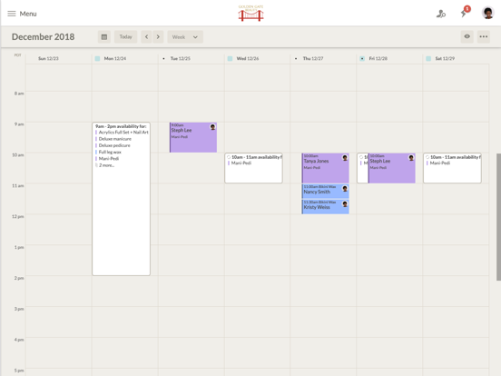 Visibook Appointment Scheduler iPad screenshot 1 - Business app