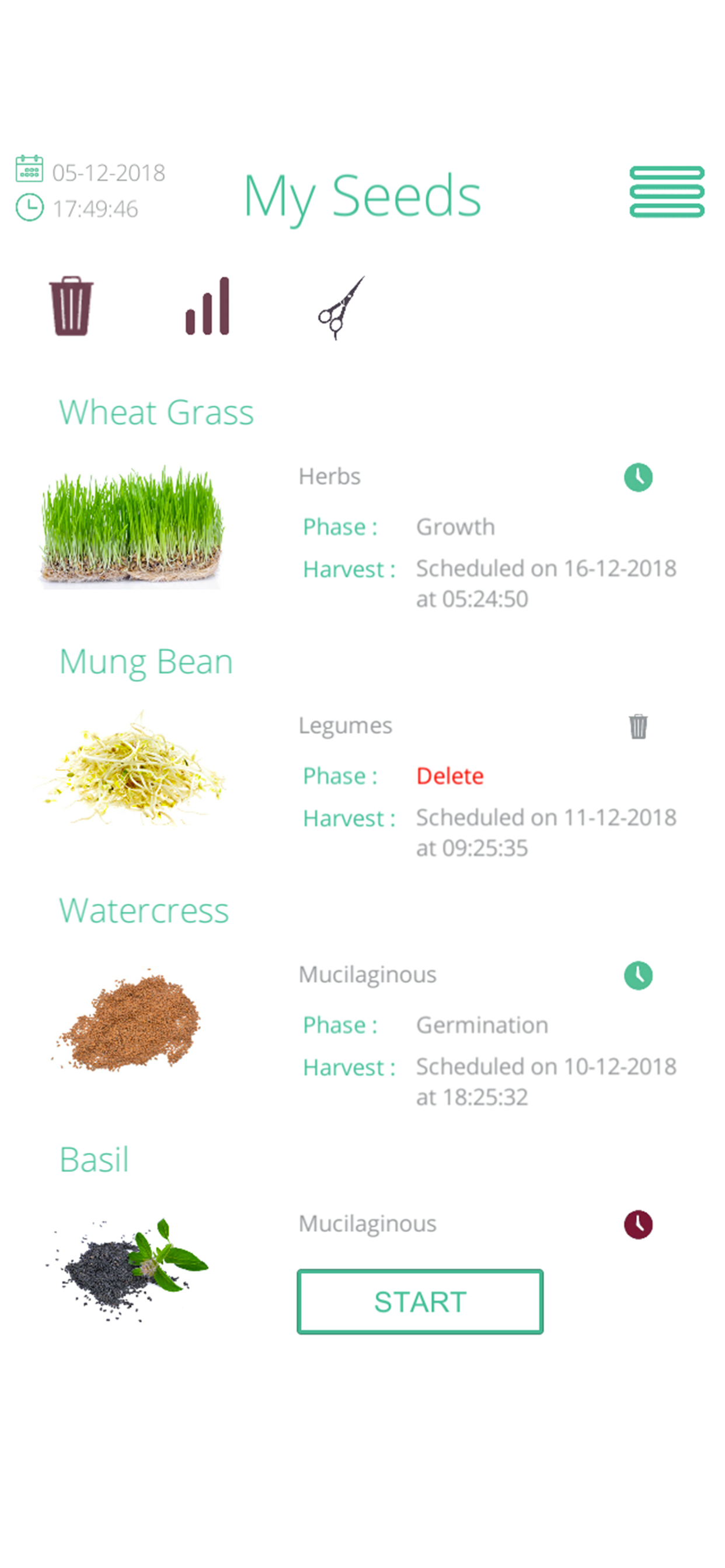 Seeds Germinator