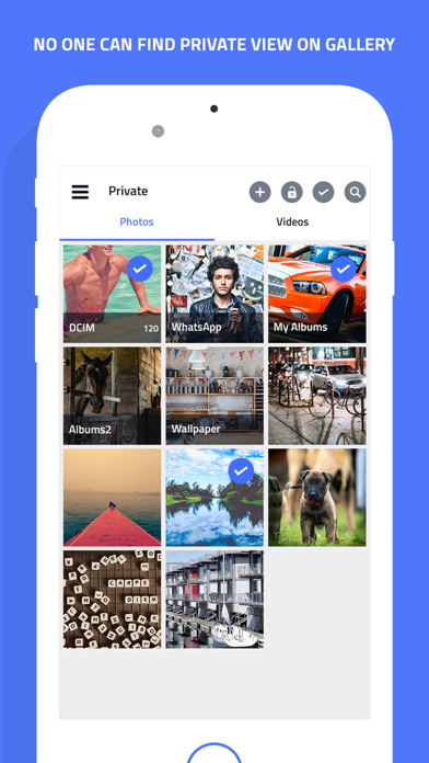 Gallery Secret Photo Vault screenshot 3