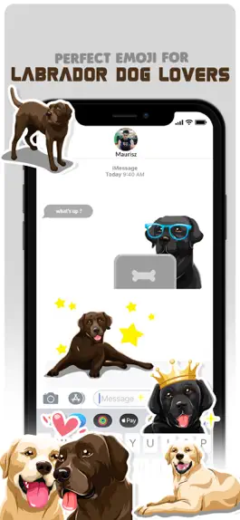 Game screenshot Labrador Retriever Dog Emojis mod apk
