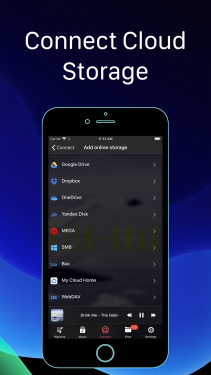 Evermusic Offline Music Player screenshot-5
