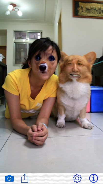 Crazy Face Swap by AlphaPlugin screenshot-4