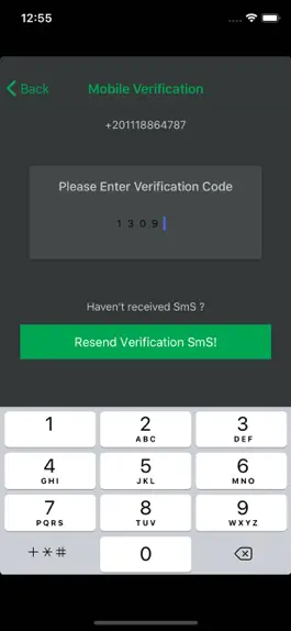 Game screenshot Baddel hack