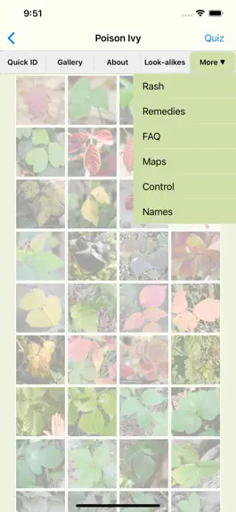 Game screenshot Rash Plants mod apk