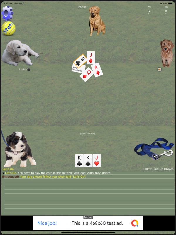 K9 Euchre screenshot 10