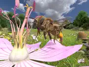 honigbiene vr ipad bildschirmfoto 1
