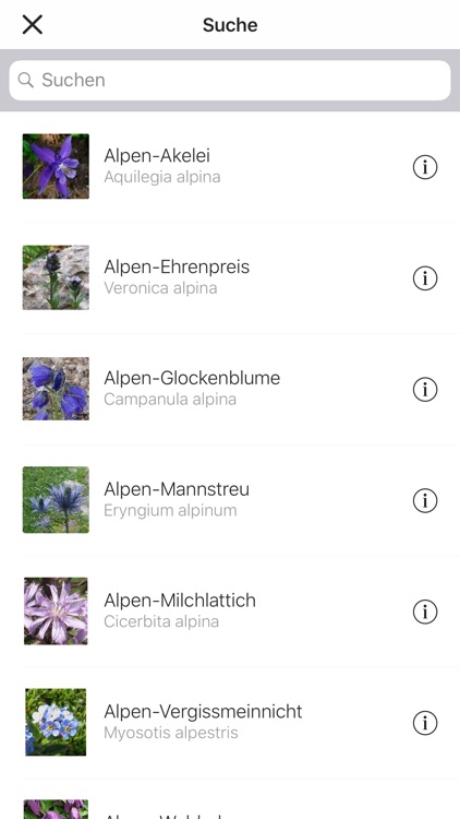 Alpenblumen bestimmen Pro