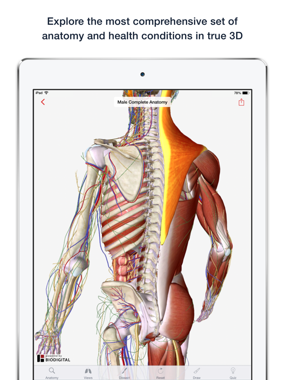 3D Human Anatomy & Disease - appPicker