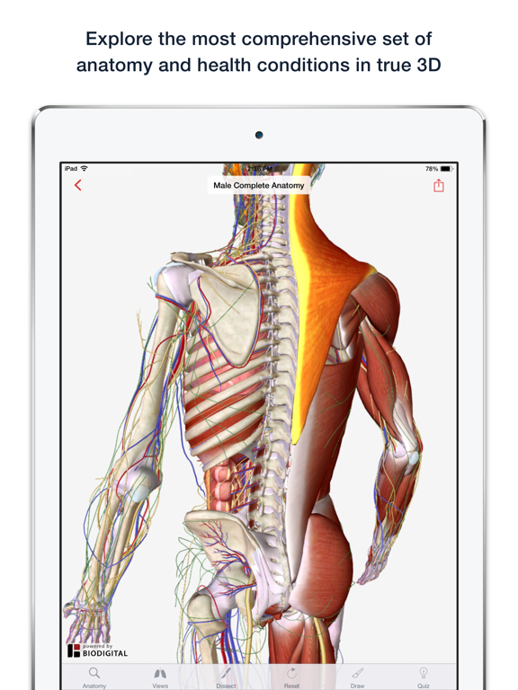 BioDigital Human - Anatomy and Health Conditions in 3D! screenshot