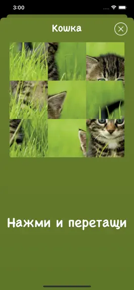 Game screenshot Звуки Животных | Язык Животных hack