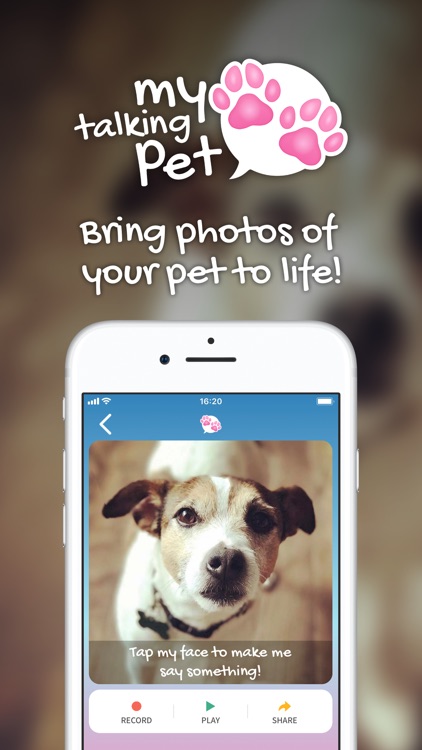 My Talking Pet screenshot-0