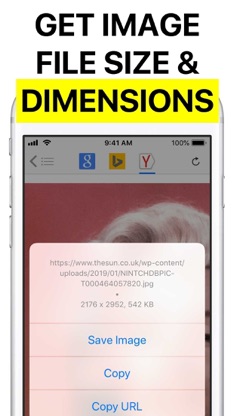 Reversee: Reverse Image Search screenshot 5