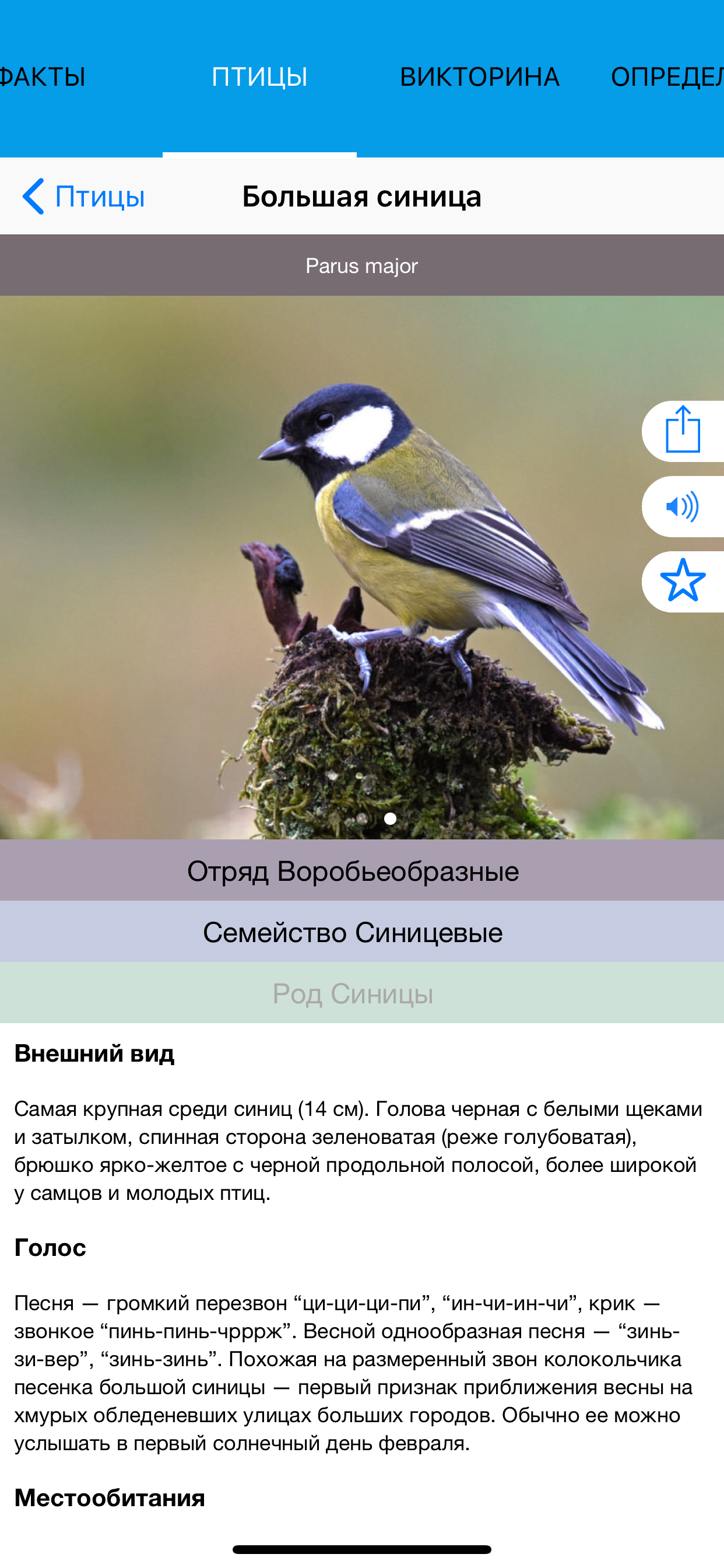 Экогид - Птицы