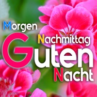 Guten Morgen-Gute Night pour PC
