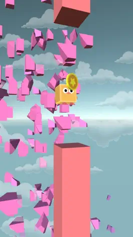 Game screenshot Bird Run - Flying IN The Sky apk