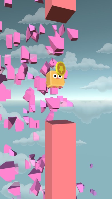 Bird Run - Flying IN The Sky screenshot 2