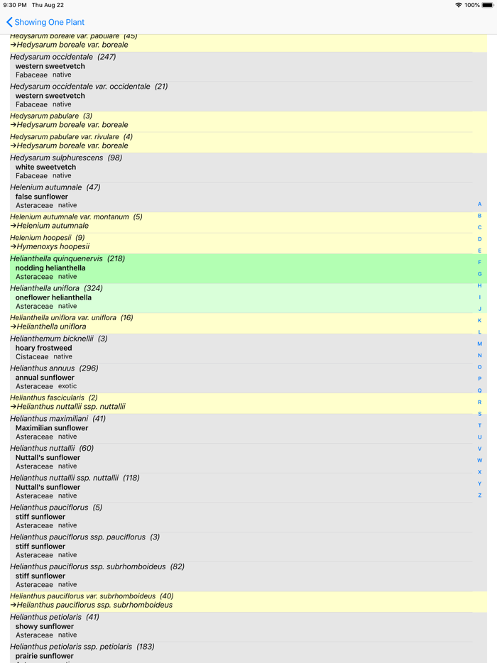 Yellowstone Wildflowers