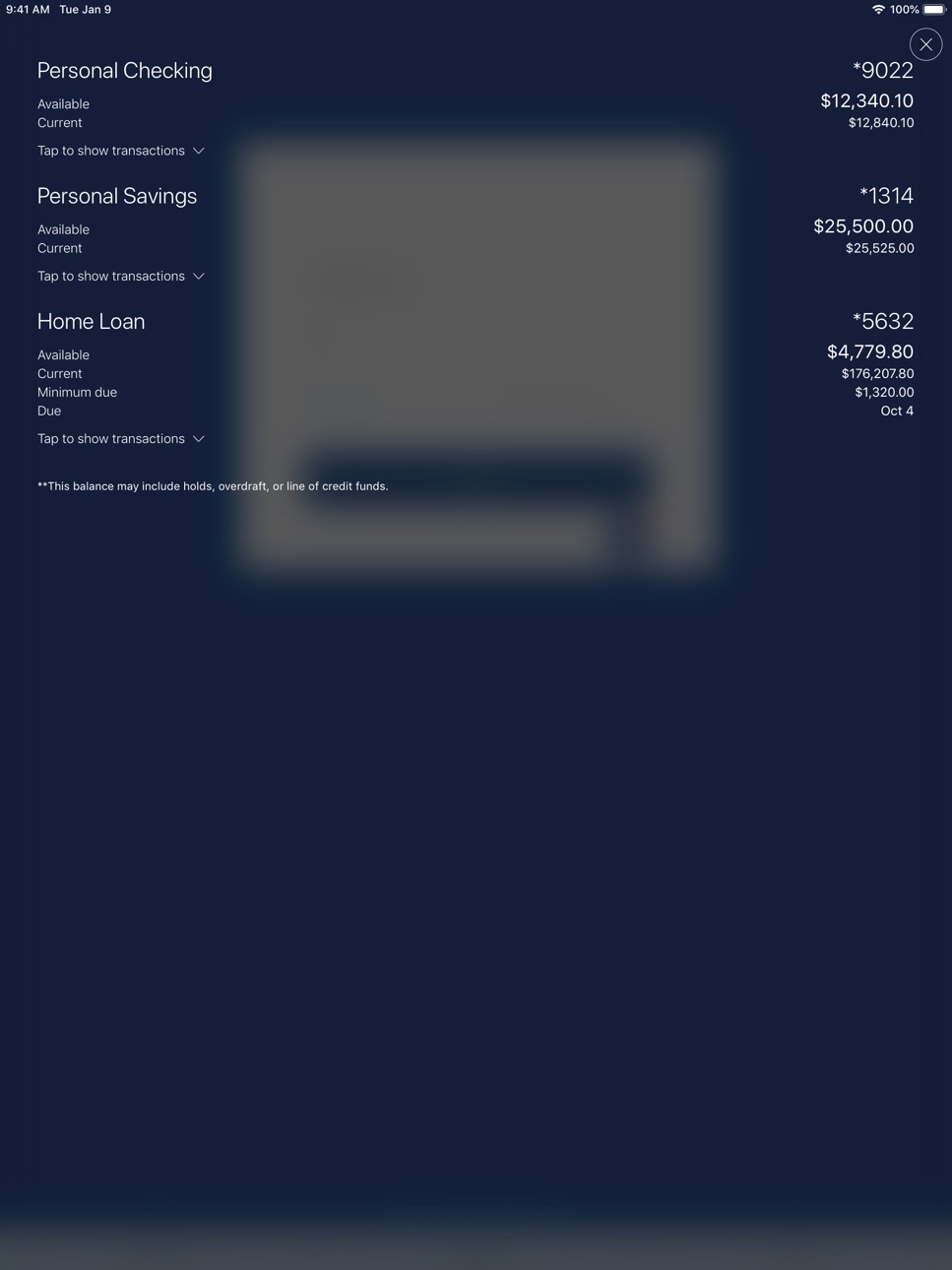 iPad screenshot