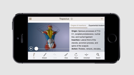 Anatomy U-Experiential Anatomyのおすすめ画像3