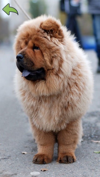 Merlins Animal Sound Board