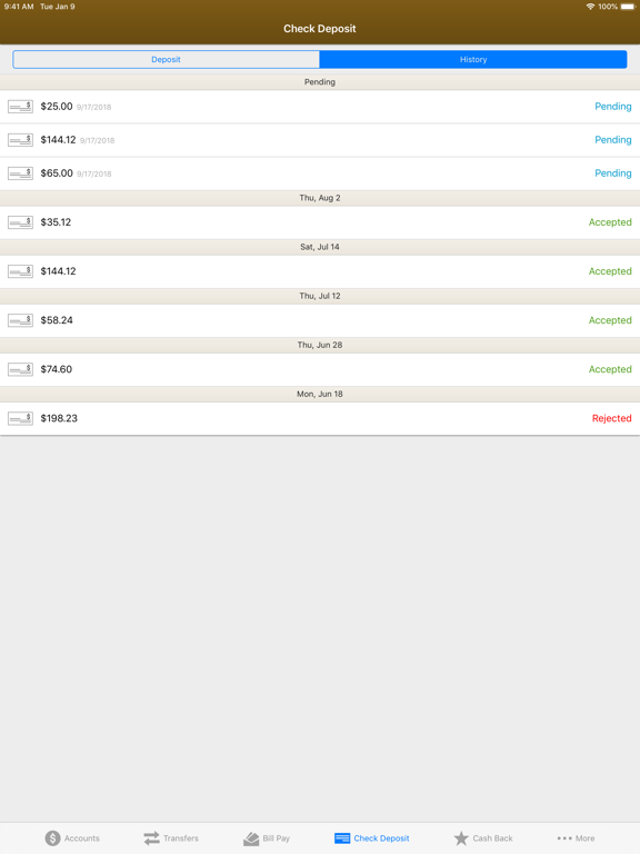 First Choice Credit Union iPad screenshot 9 - Finance app