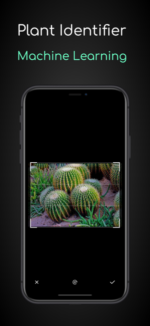 植物识别-拍照识花草树木(圖1)-速報App