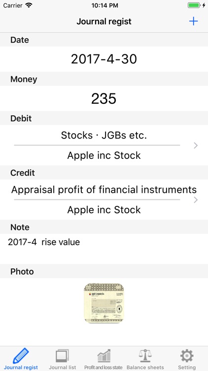 Profit and loss statement screenshot-3