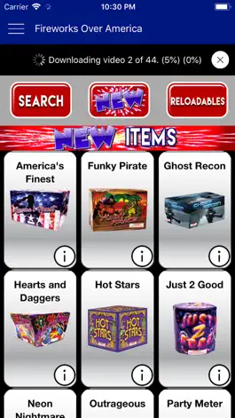 Game screenshot Fireworks Over America apk