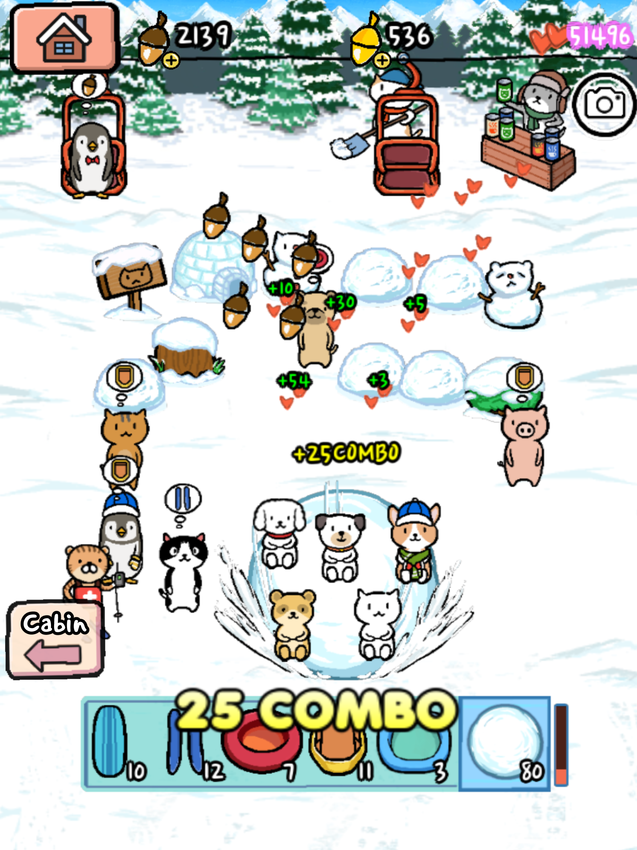 Animal Ski Resort