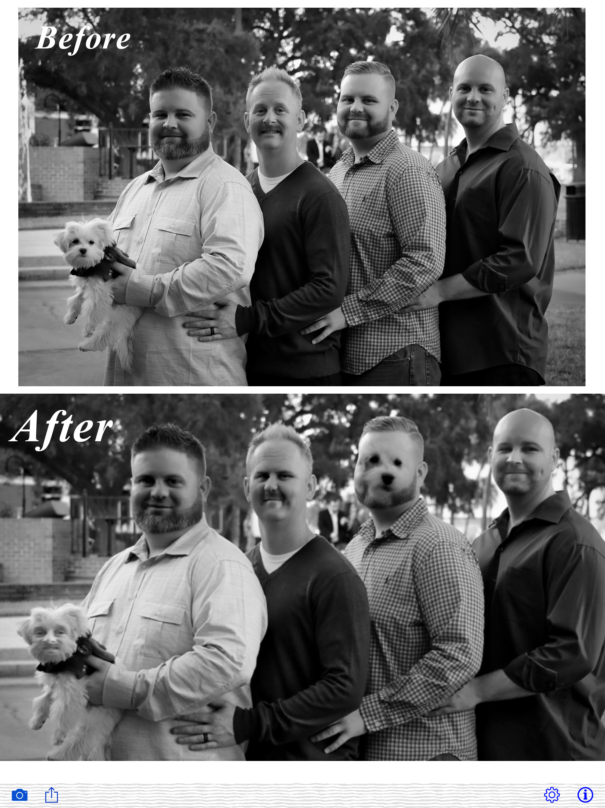 Crazy Face Swap by AlphaPlugin screenshot 12
