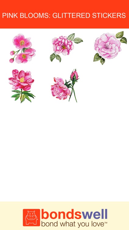 Pink Blooms