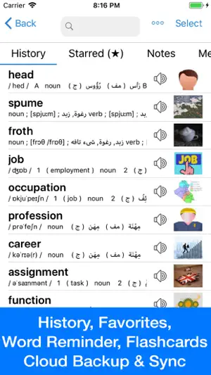 Arabic Dictionary - Dict Box screenshot 4