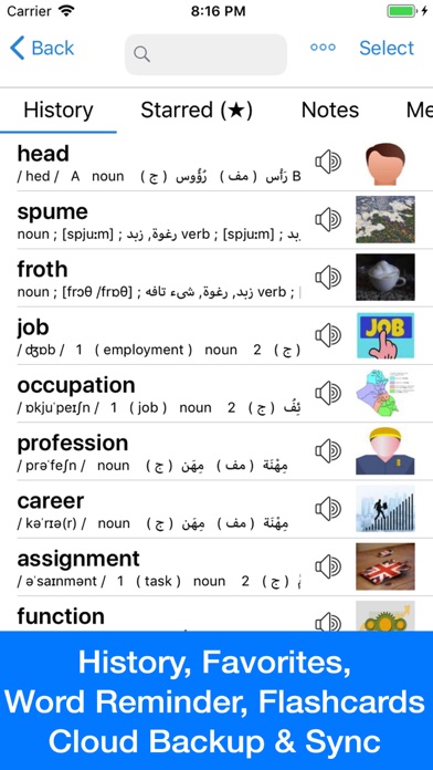 Arabic Dictionary - D... screenshot1