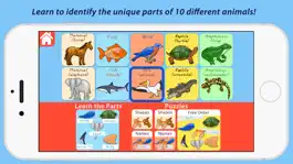 Game screenshot Parts Of Animals - Vertebrates apk