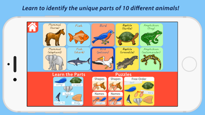Parts Of Animals - Vertebrates Screenshot