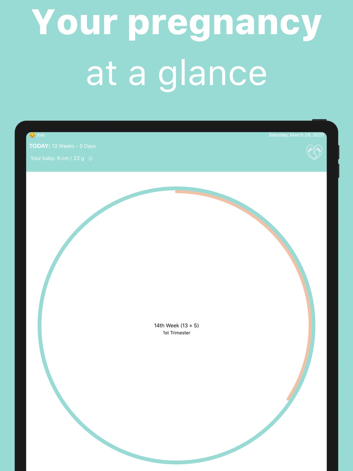 Pregnancy Week Tracker ipad screenshot 1