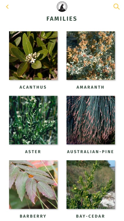 NWF Guide to Trees