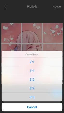 Game screenshot PicSplit-Grid Post for picture apk