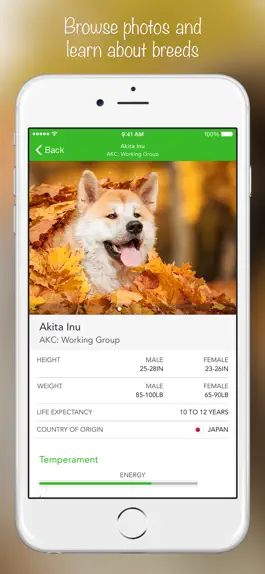 Game screenshot iKnow Dogs 2 PRO hack