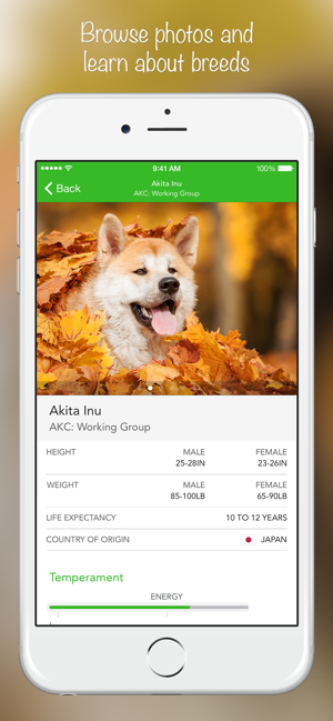 ‎Снимка на екрана на iKnow Dogs 2 PRO