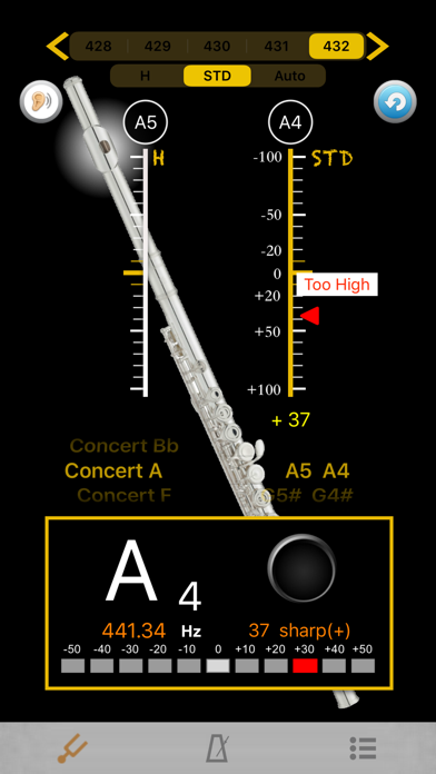 Flute Tuner - Tuner for Flute screenshot 2