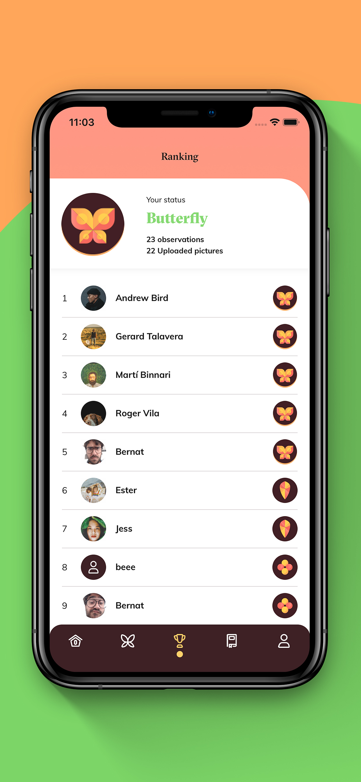Butterfly Migration