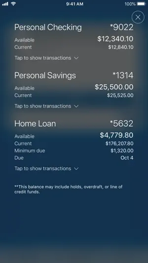 Southeast Financial CU screenshot 1